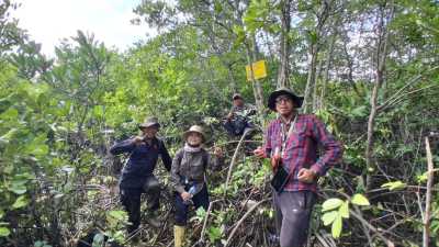 Pelaksanaan Inventarisasi Hutan Mangrove (IHM) Tahun 2026 pada BPKH Wilayah XI